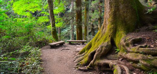 ジブリ風のイメージ